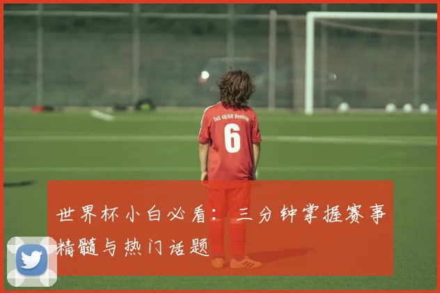 世界杯小白必看：三分钟掌握赛事精髓与热门话题