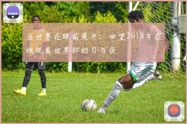当世界在眼前展开：回望2018年在线观看世界杯的日与夜