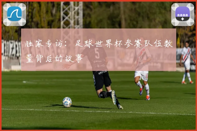 独家专访：足球世界杯参赛队伍数量背后的故事