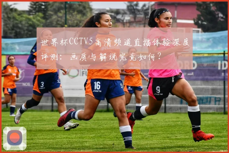 世界杯CCTV5高清频道直播体验深度评测：画质与解说究竟如何？