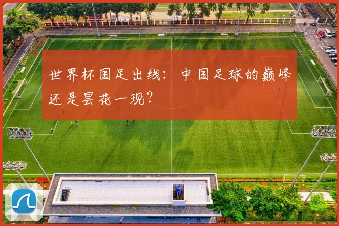 世界杯国足出线：中国足球的巅峰还是昙花一现？